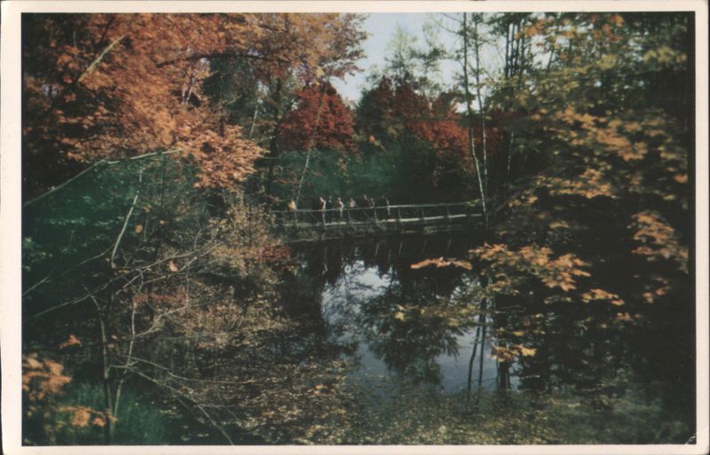 Trout Pond on Trail to Caves, Gorgeous Autumn, Polar Caves New Hampshire