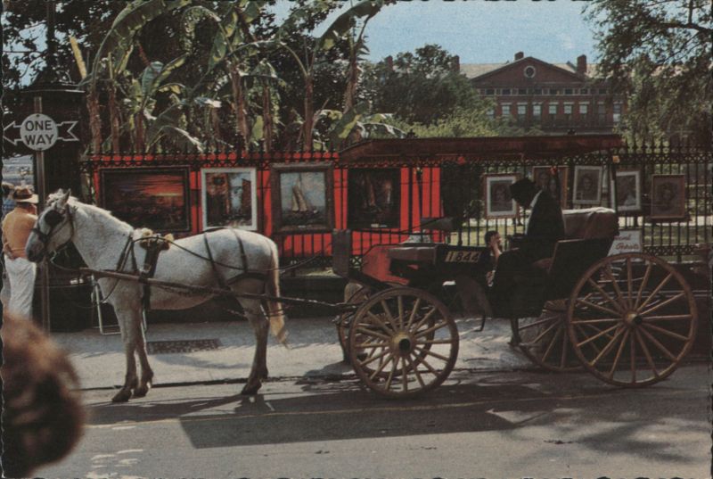 French Quarter Sightseeing Carriage, New Orleans Louisiana