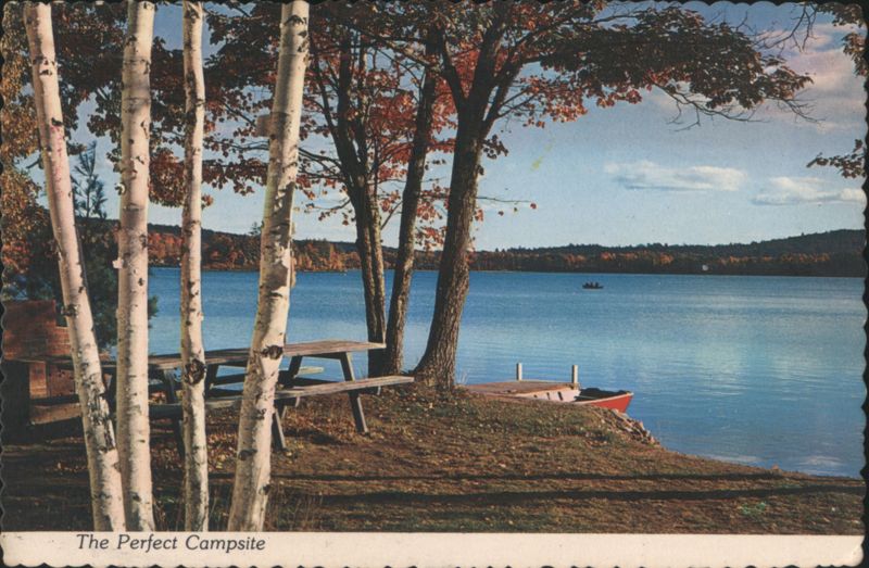 The Perfect Campsite Trees