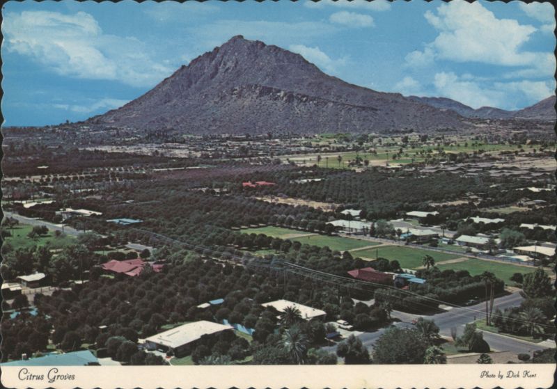 Citrus Groves with Mountain View, Phoenix Area Arizona