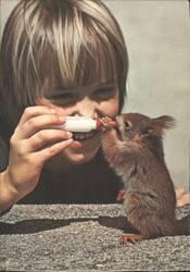 Child Feeding Baby Squirrel with Bottle Postcard