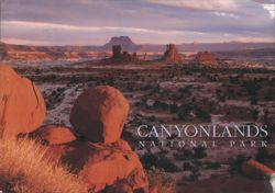 Canyonlands National Park, Land of Standing Rocks Postcard