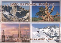 Inyo National Forest - 100 Years, Mountains, Bristlecone Pines, Mono Lake Postcard