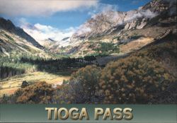 Tioga Pass, Yosemite National Park, CA Postcard