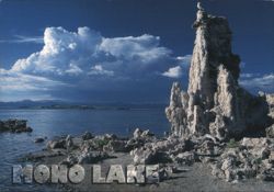 Mono Lake Tufa Formations, California Postcard