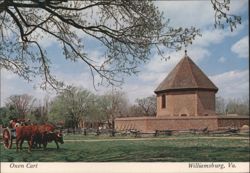 Oxen Cart Rides at Powder Magazine, Williamsburg, VA Postcard