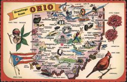 Greetings From Ohio Map with Buckeye, Cardinal, Flag Postcard