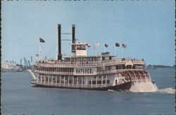 Sternwheeler Natchez Mississippi River New Orleans Postcard
