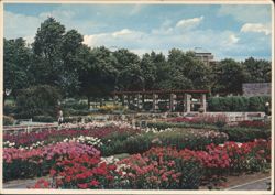 Botanical Gardens, Montréal, Québec Postcard