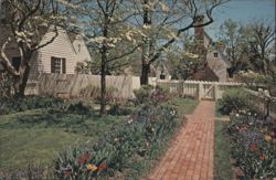 Taliaferro-Cole Garden, Williamsburg, VA Postcard