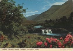 Aasleagh Falls, Leenane, Co. Galway, Ireland Postcard