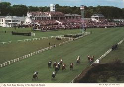 An Irish Race Meeting (The Sport of Kings) Postcard