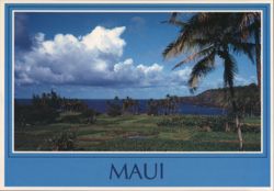 Keanae Peninsula, Maui, Lush Taro Fields & Ocean View Postcard