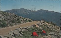 Picking Blueberries Mt Washington Auto Road NH 1970 Postcard Postcard