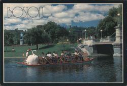 Swanboat in Public Garden, Boston Postcard