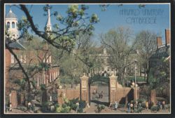 Harvard University, Johnston Gate, Massachusetts Hall Postcard