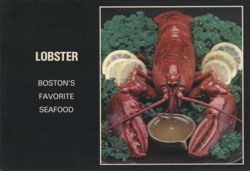 Lobster, Boston's Favorite Seafood Postcard