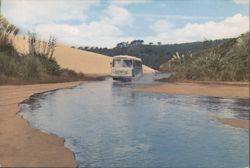 TE PAKI STREAM Tour Bus, Far North Coastal Park, New Zealand Postcard