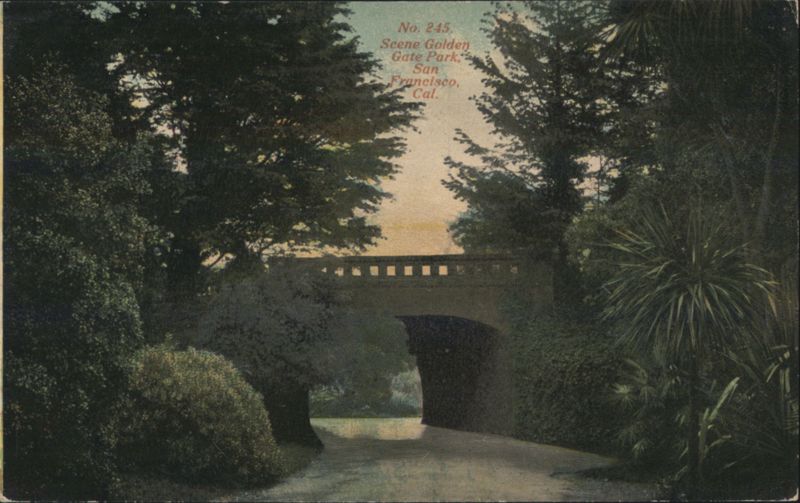 Golden Gate Park Bridge Scene San Francisco California