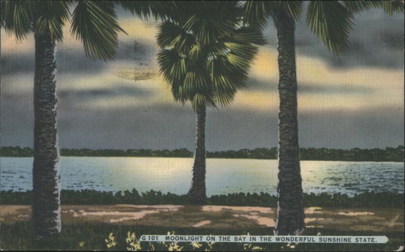 Moonlight on the Bay, Sunshine State St. Petersburg Florida
