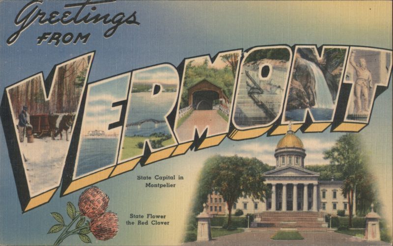 Greetings From Vermont Large Letter State Capitol Red Clover