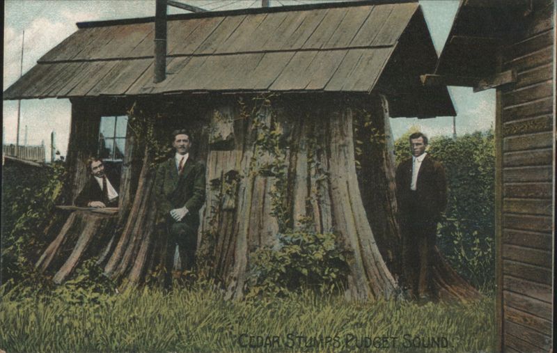Cedar Stumps House, Puget Sound with Three Men Washington