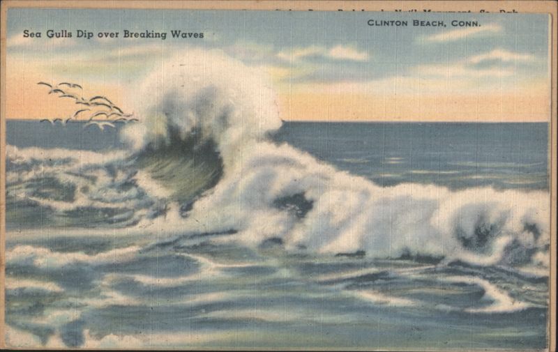 Sea Gulls Dip over Breaking Waves, Clinton Beach Connecticut