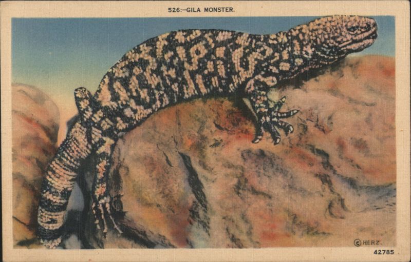 Gila Monster Snakes & Reptiles