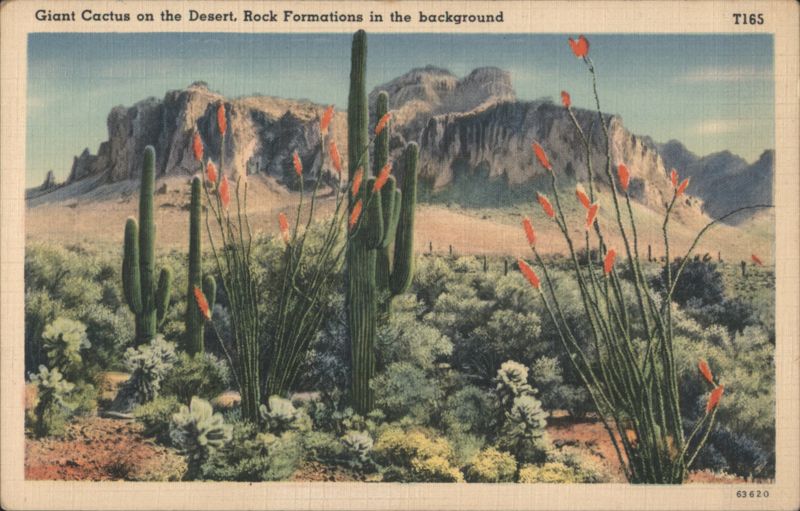 Giant Cactus on the Desert. Rock Formations in the background