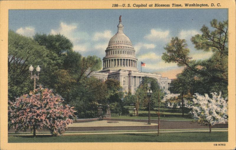 U. S. Capitol at Blossom Time Washington District of Columbia