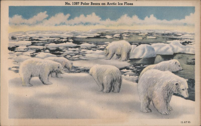 Polar Bears on Arctic Ice Floes
