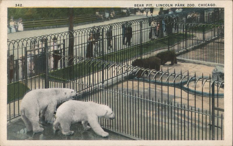 Bear Pit, Lincoln Park Zoo, Chicago Illinois