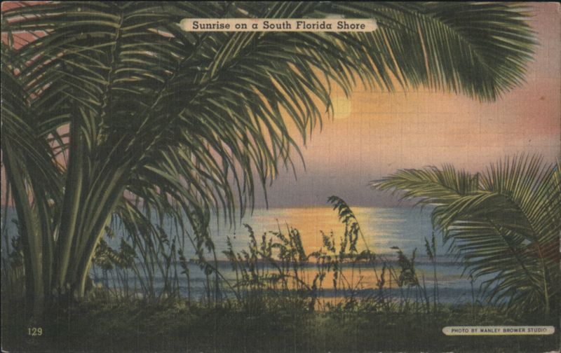 Sunrise on a South Florida Shore, Palm Trees Manley Brower Studio