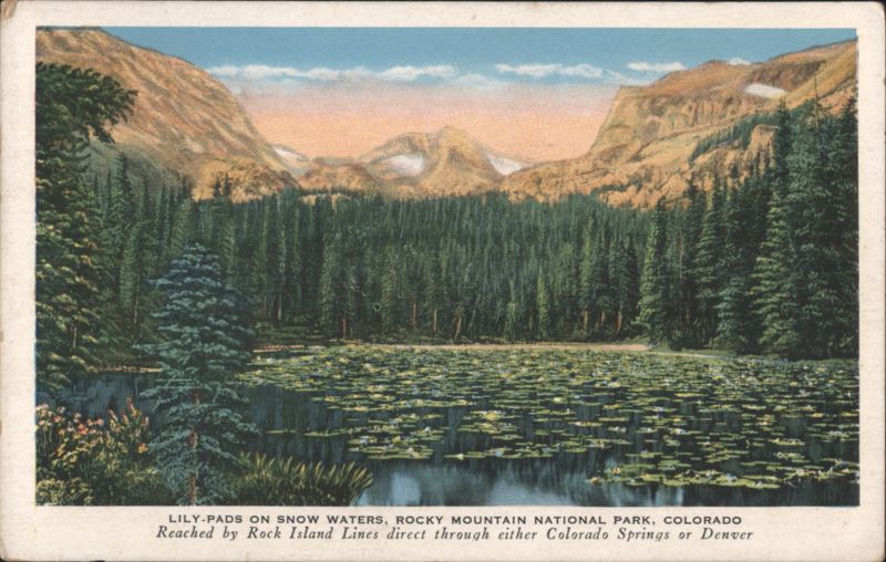 Lily-Pads on Snow Waters, Rocky Mountain National Park Colorado