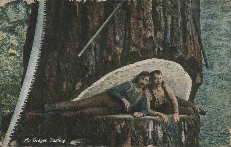 An Oregon Sapling Loggers on Felled Tree