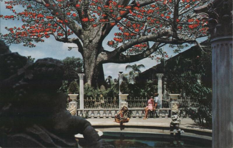Kapok Tree Inn, Clearwater, Florida