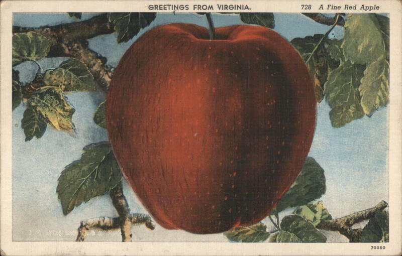 Greetings from Virginia: A Fine Red Apple Fruit