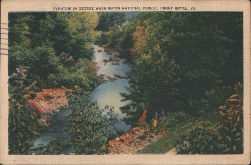 Eventide in George Washington National Forest Front Royal Virginia
