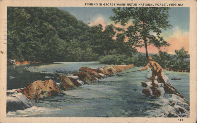 Fishing in George Washington National Forest, VA Virginia