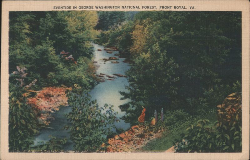 Eventide in George Washington National Forest Front Royal Virginia