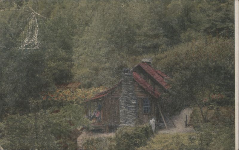 Typical Cabin Home in the Blue Ridge Mountains Virginia