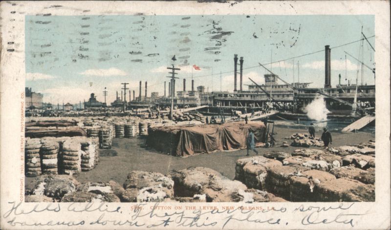 Cotton on the Levee, New Orleans Louisiana
