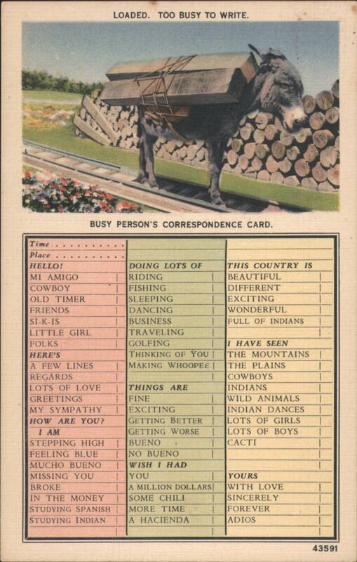 Loaded Donkey, Busy Person's Correspondence Card Correspondence Cards