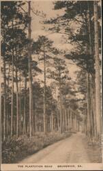 The Plantation Road, Brunswick, GA Postcard
