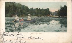 A LILY POND Postcard