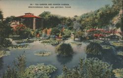 Tea Garden and Sunken Garden, Brackenridge Park Postcard