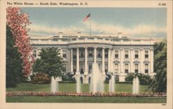 The White House - South Side, Washington, D. C. Postcard