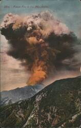 Forest Fire in the Mountains Postcard