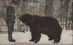 Alaskan Brown Bear, New York Zoological Park Postcard