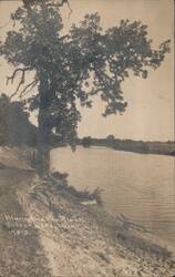 Tree by Fox River, Silver Lake, WI Postcard